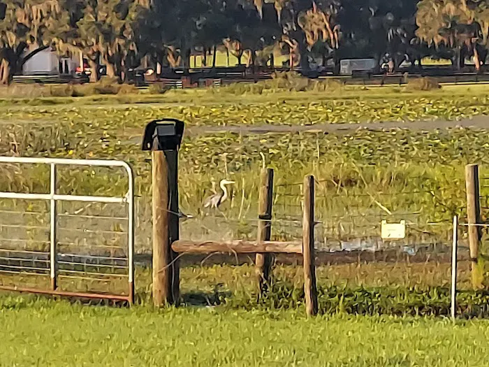 Lakeside Oaks Mobile Home Park Picture 4