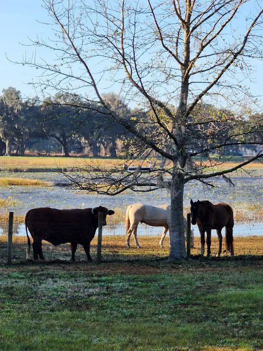 Lakeside Oaks Mobile Home Park Picture 9