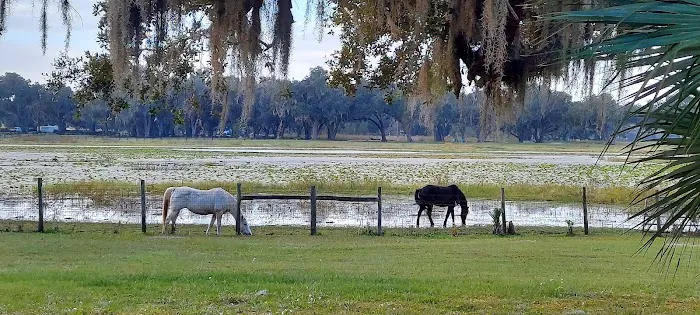 Lakeside Oaks Mobile Home Park Picture 6