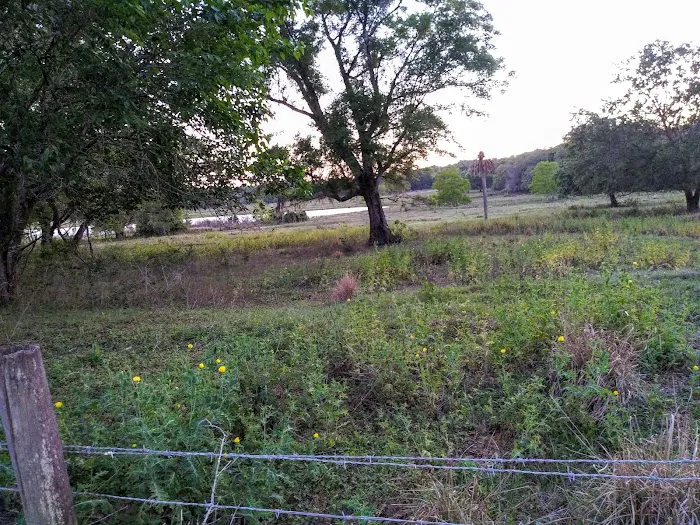 Lakeview In the Hls Mobile Home Picture 3