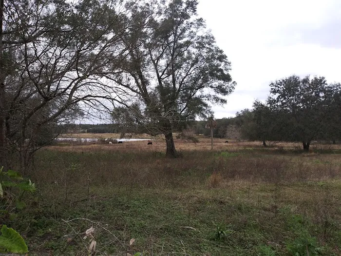 Lakeview In the Hls Mobile Home Picture 1