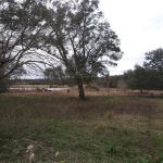 Lakeview In the Hls Mobile Home