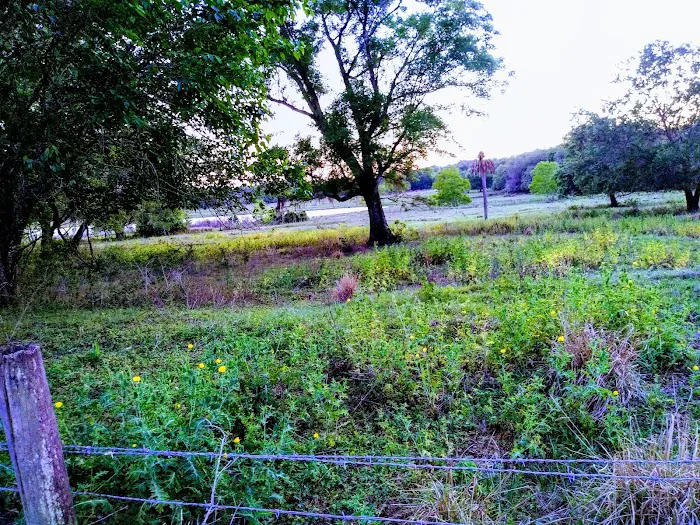 Lakeview In the Hls Mobile Home Picture 9