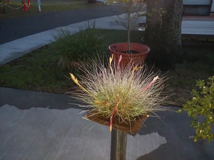 Mockingbird Mobile Home Park Picture 4