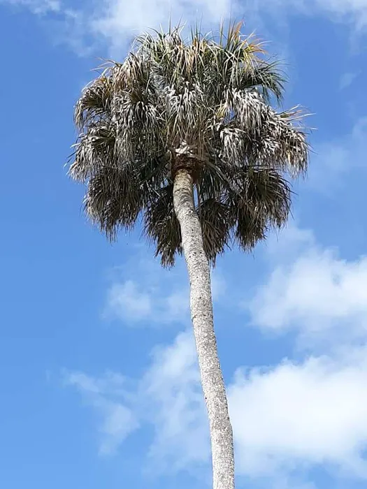 Caribbean estates mobile home park Picture 6