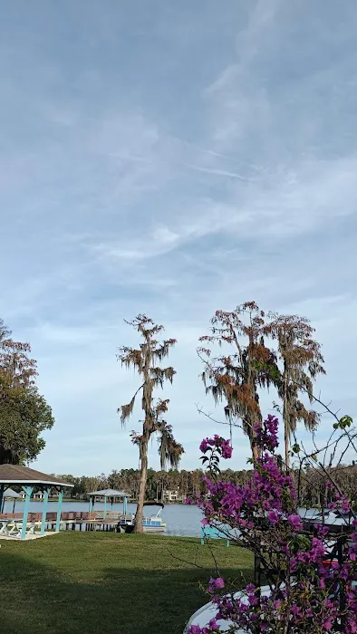 Lake Padgett Mobile Home Village Picture 5