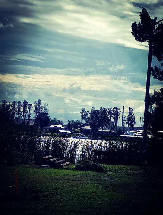 Lake Padgett Mobile Home Village Picture 2
