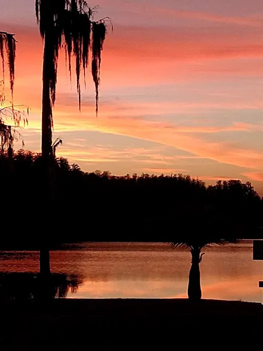 Lake Padgett Mobile Home Village Picture 6