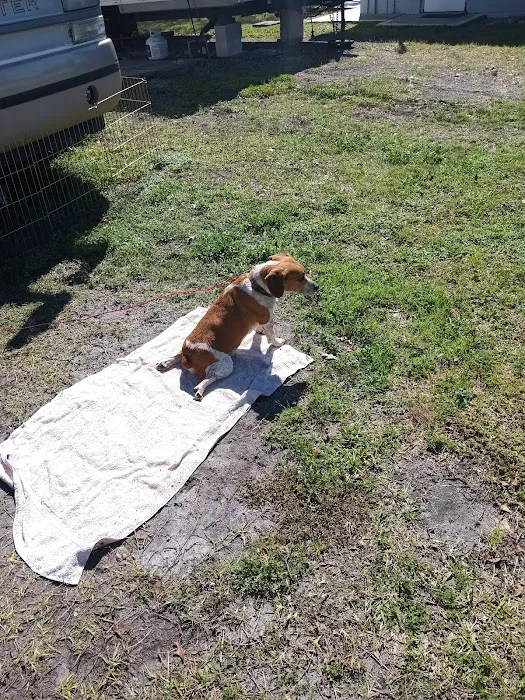 Tropic Breeze RV and Mobile Home Park Picture 9