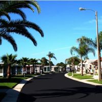 Senate Manor Estates ico