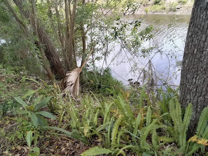 Water's Edge Mobile Home Park (55+) Picture 2