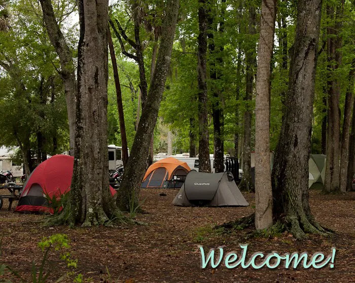 Nova Family Campground Picture 4