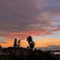 Mosquito Lagoon RV Park ico