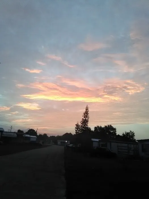 Pinewood Village Mobile Home Park Picture 5