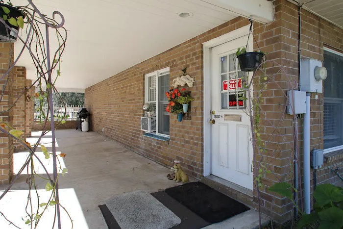 THE VILLAGE Picture 4