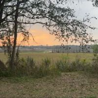 Zephyrhills, Fl ico