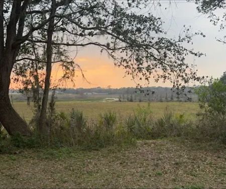 Zephyrhills, Fl