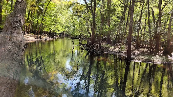 Sleepy Hollow RV Park 1 & RV Park 2 Picture 4