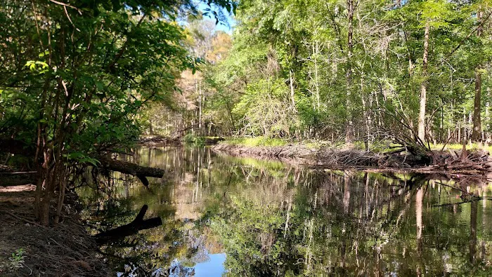 Sleepy Hollow RV Park 1 & RV Park 2 Picture 5