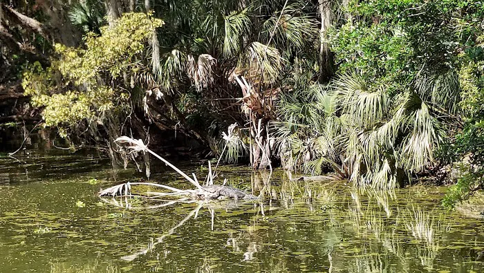 Sleepy Hollow RV Park 1 & RV Park 2 Picture 7