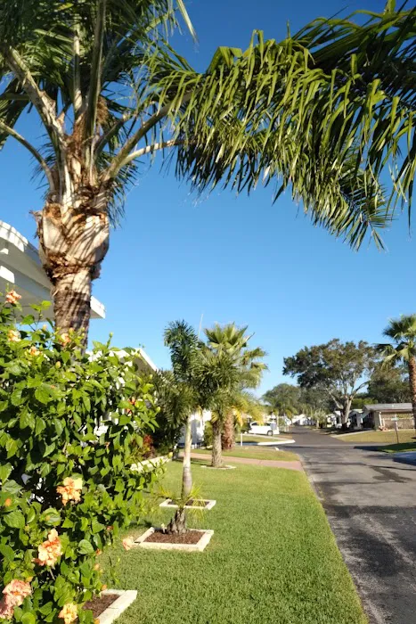 Country Aire Village Picture 5