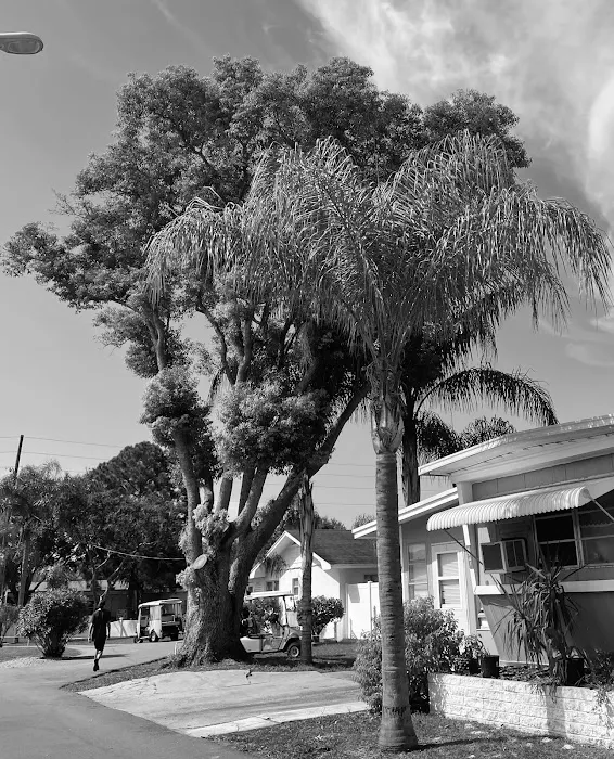 Tree Lane Village Mobile Home Park Picture 5