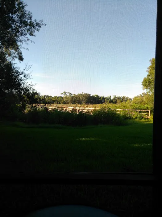 Tropicana Trailer Park Picture 8