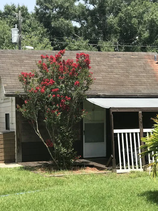 Tropicana Trailer Park Picture 7