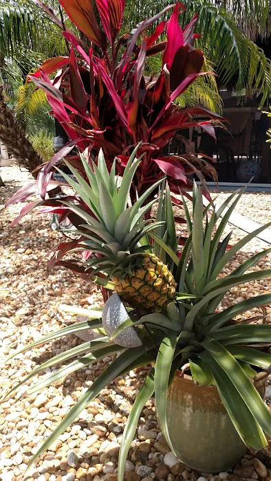 Paradise Pines Picture 7
