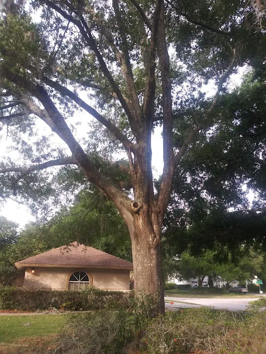 Sunrise Mobile Home Park Picture 4