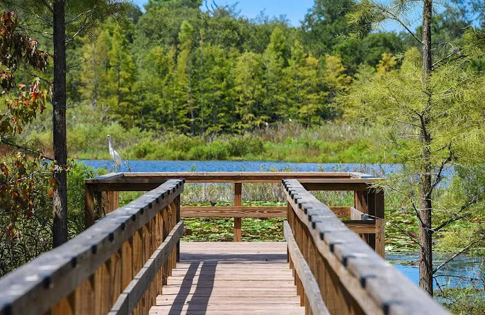 Orchid Lake RV Resort Picture 6