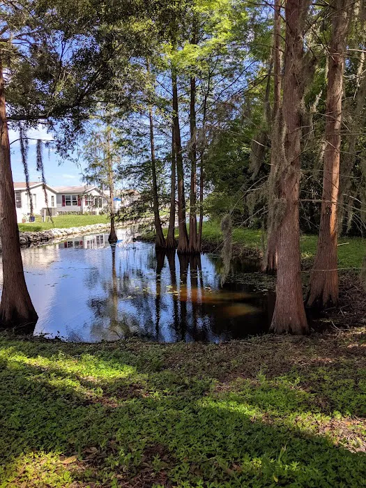 Country Place Picture 3