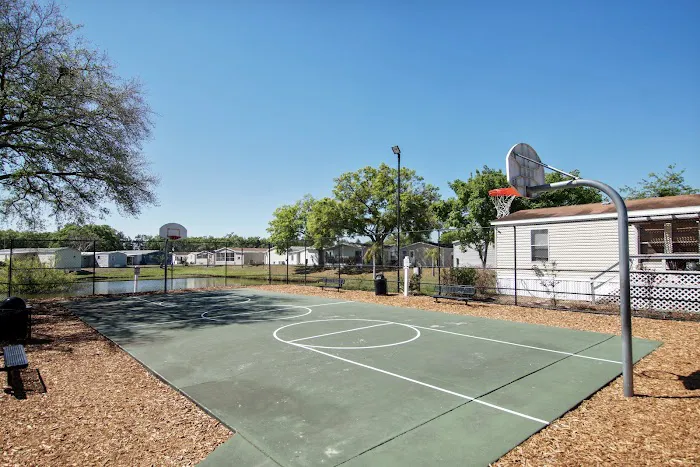 Village of Tampa Mobile Home Community Picture 7