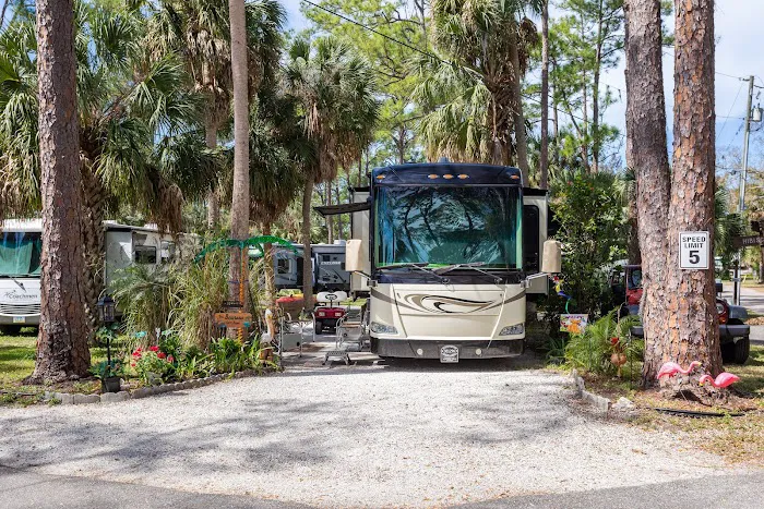 Suncoast RV Resort Picture 7