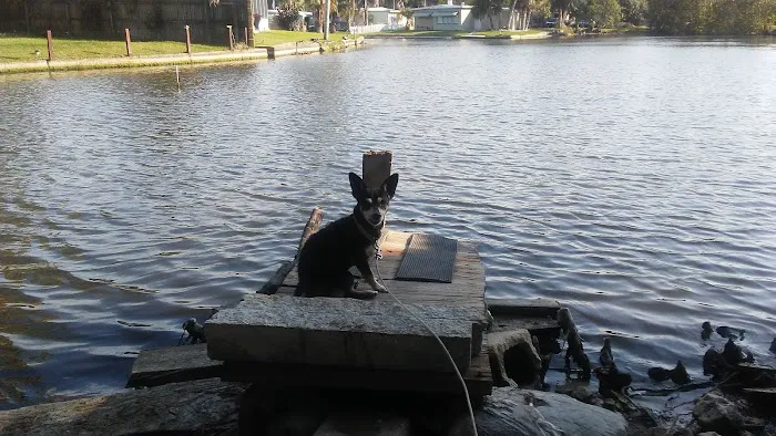 Floridian Mobile Home/RV Park Picture 4