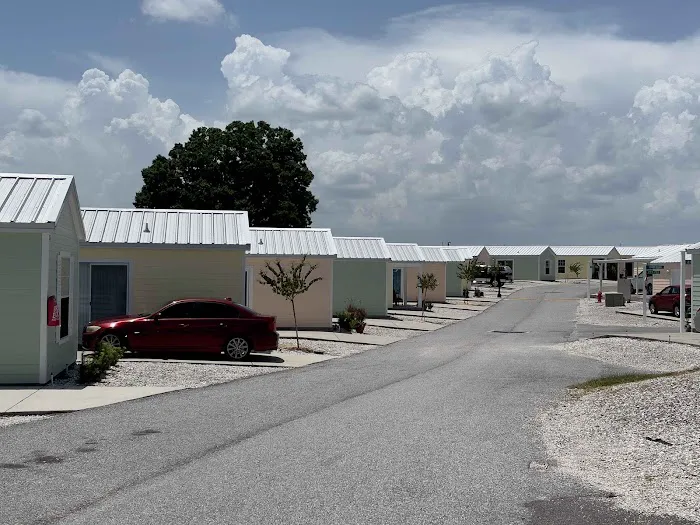 Themeworld Picture 7