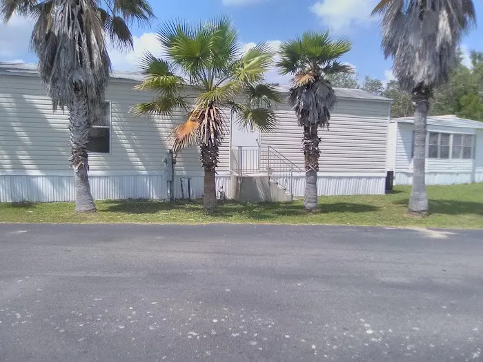 21 Palms RV Resort Picture 5