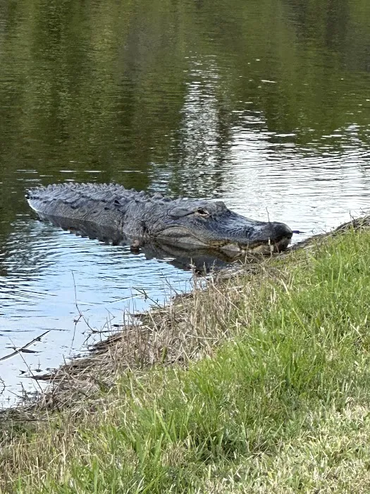 The Great Outdoors Nature, RV & Golf Resort Picture 4