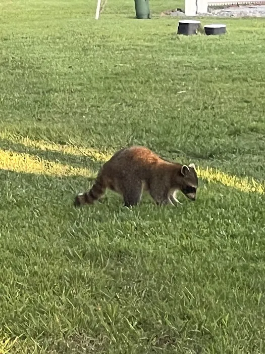 The Great Outdoors Nature, RV & Golf Resort Picture 5