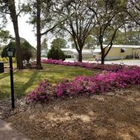 Whispering Pines MH & RV ico