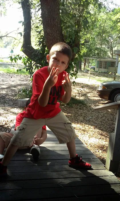 Andy's Travel Trailer Park Picture 5
