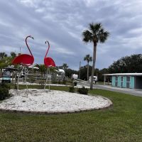 LITTLE FLAMINGO RV ico