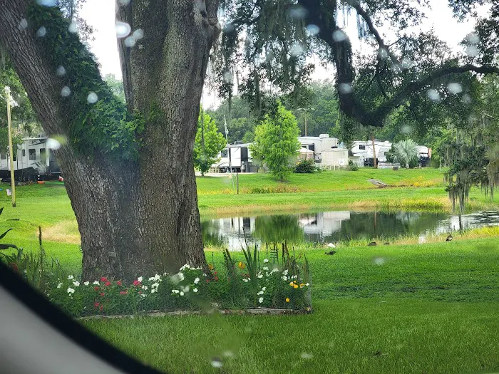 LITTLE FLAMINGO RV Picture 2