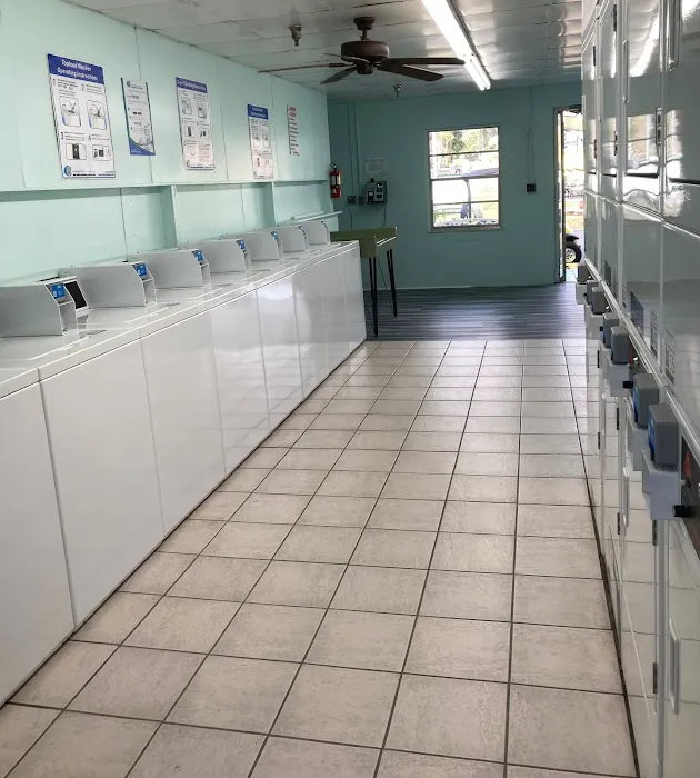 Ducky's Day Off RV Park Picture 4