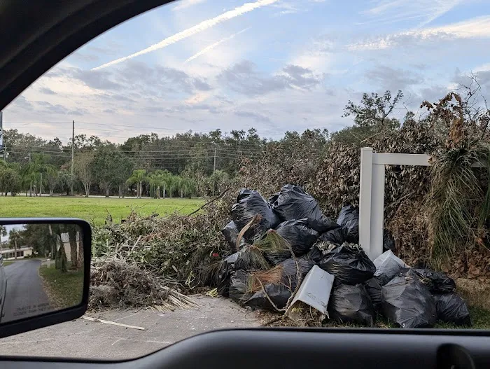 Palm Tree Acres Mobile Home Community Picture 3