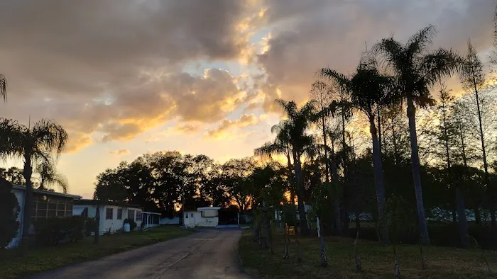 Palm Tree Acres Mobile Home Community Picture 4