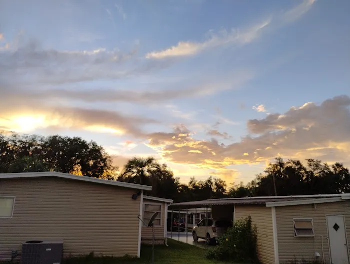 Palm Tree Acres Mobile Home Community Picture 5