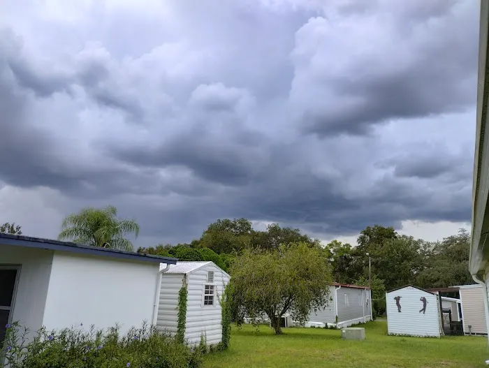 Palm Tree Acres Mobile Home Community Picture 8