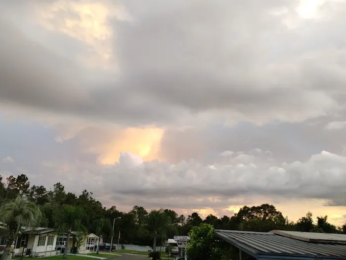 Palm Tree Acres Mobile Home Community Picture 6