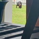 Sunnyside Mobile Home Park